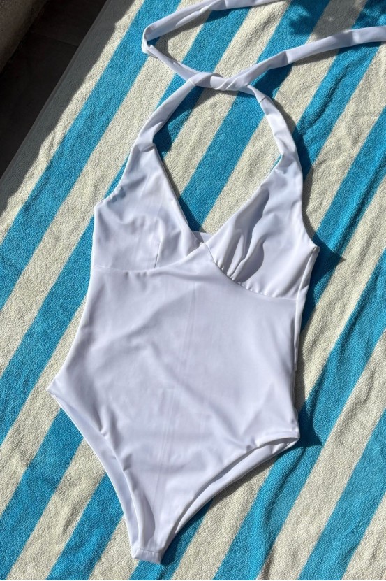 Artemisa body